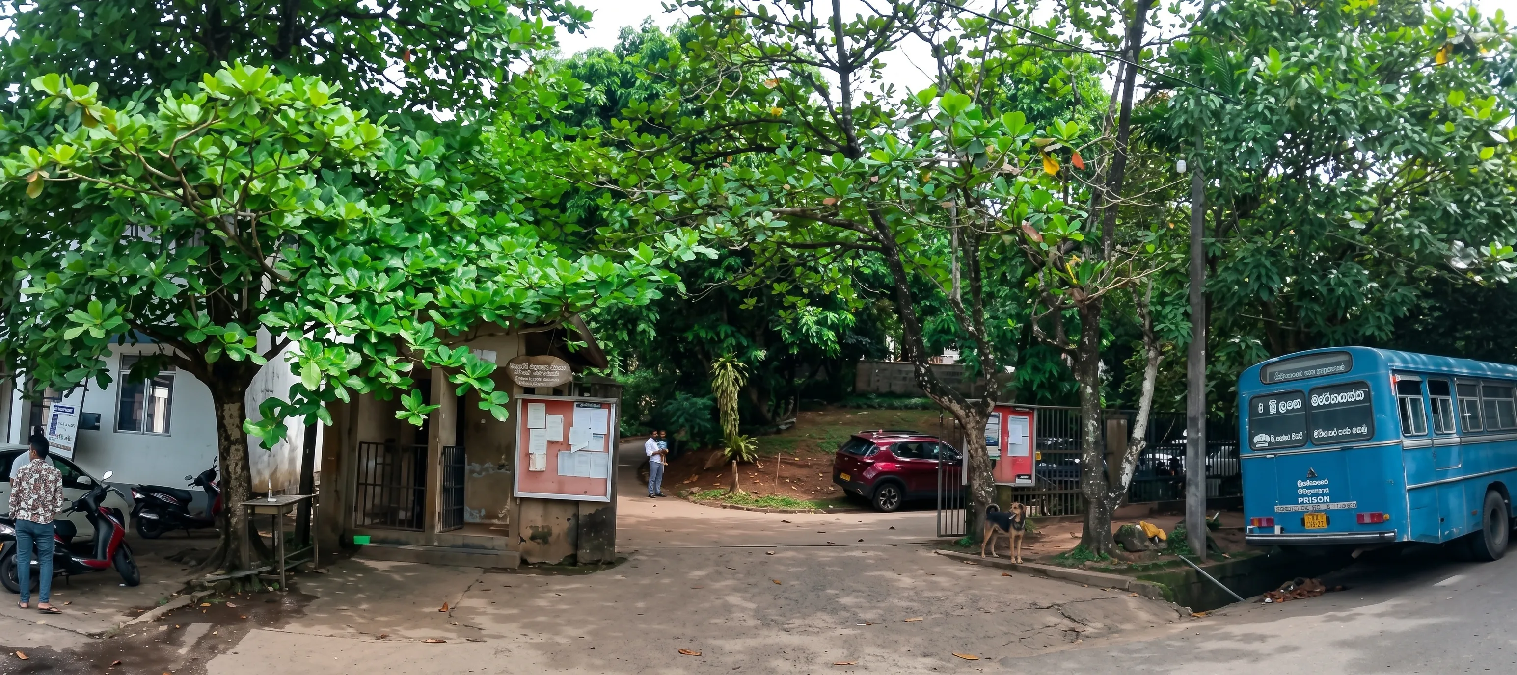 District Court Horana